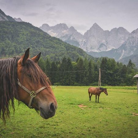 Klass 210 Kranjska Gora Extérieur photo